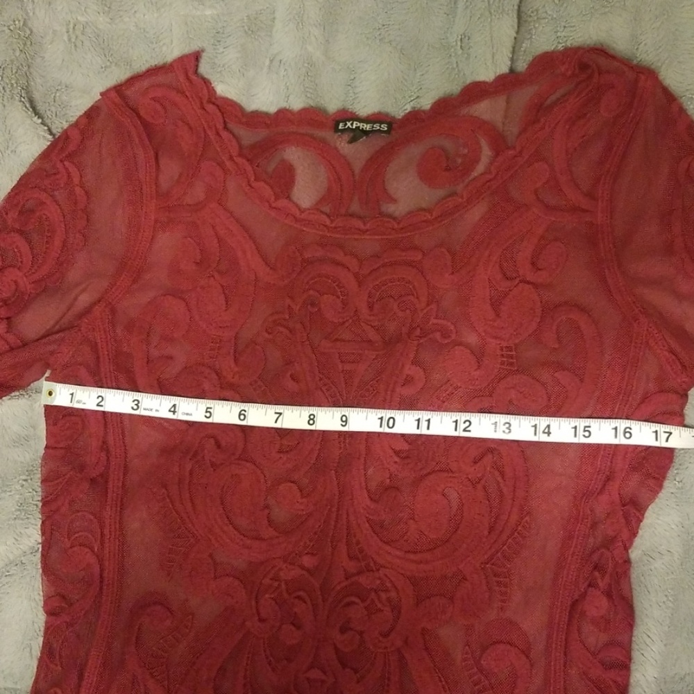 Express Embroided Lace Mesh Top - Picture 5 of 5